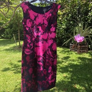 Lovely Summer Sheath Dress